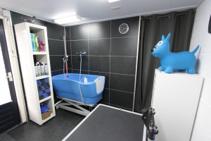 salon